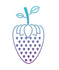 strawberry fresh fruit icon