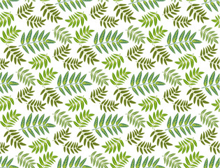 Tropical leaves seamless pattern. Floral jungle background.