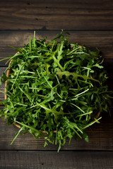 Fresh rucola with water droplets on a dark rustic background