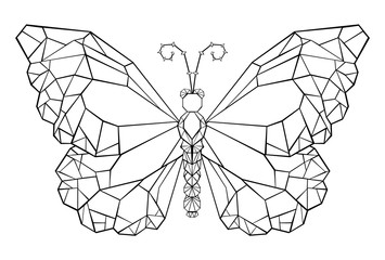 Polygonal butterfly monarch