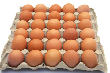 close up on brown eggs in egg box isolated on white background