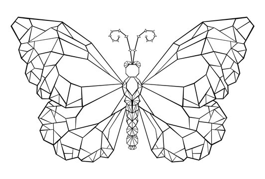 Polygonal butterfly monarch