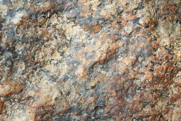 Rocks natural wall background near the river in the forest
