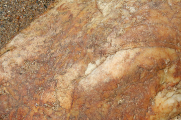 Rocks natural wall detail background near the river in the forest
