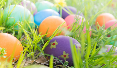 Fototapeta na wymiar Easter egg ! happy colorful Easter sunday hunt holiday decorations Easter concept backgrounds with copy space