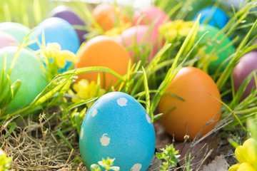 Easter egg ! happy colorful Easter sunday hunt holiday decorations Easter concept backgrounds with copy space