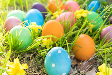 Fototapeta na wymiar Easter egg ! happy colorful Easter sunday hunt holiday decorations Easter concept backgrounds with copy space