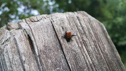 Hanging Out
