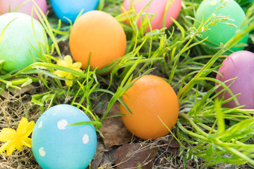 Easter egg ! happy colorful Easter sunday hunt holiday decorations Easter concept backgrounds with copy space