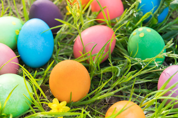 Obraz na płótnie Canvas Easter egg ! happy colorful Easter sunday hunt holiday decorations Easter concept backgrounds with copy space