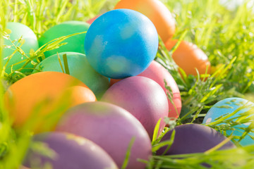 Easter egg ! happy colorful Easter sunday hunt holiday decorations Easter concept backgrounds with copy space