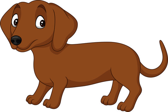 Cartoon dachshund dog isolated on white background
