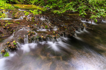 Pristine river and waterfalls in autumn, in a remote forest in the Balkans