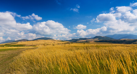 Pastoral scenery in autumn, in a remote rural area in Eastern Europe