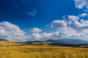 Fototapeta na wymiar Pastoral scenery in autumn, in a remote rural area in Eastern Europe
