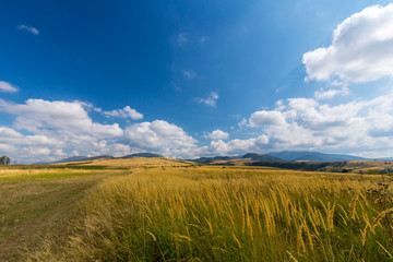 Fototapeta na wymiar Pastoral scenery in autumn, in a remote rural area in Eastern Europe