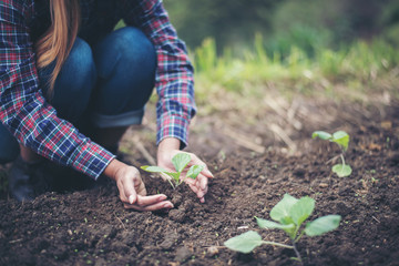 farmer woman .Planting trees in the garden