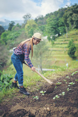 farmer woman .Planting trees in the garden