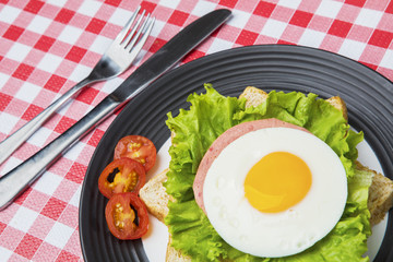 Homemade egg sandwich on the table