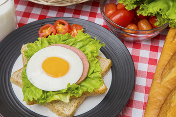 Delicious egg sandwich served on the table