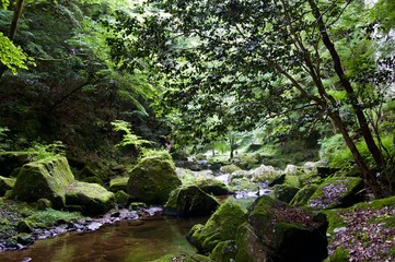 Akame 48 Waterfalls: Mystic scenery with giant trees & huge moss covered rock formations, untouched nature, lush green vegetation, cascading waterfalls & natural pools in rural Japan near Osaka