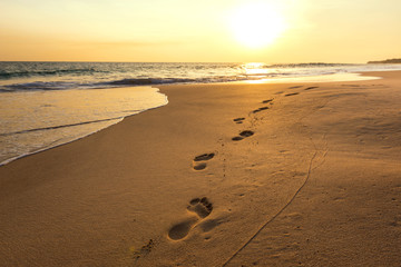 Landscape of sunset on the beach