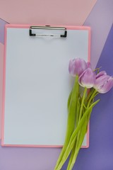  clipboard and lilac tulips on trend graphic background in pastel colors.	flat lay, top view, copy space