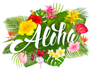 Aloha Hawaii lettering and tropical plants