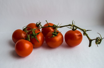 tomatoes with greens on white background