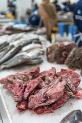 Fish market vertical