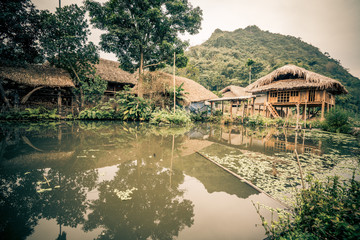 a house in the jungle of vietnam