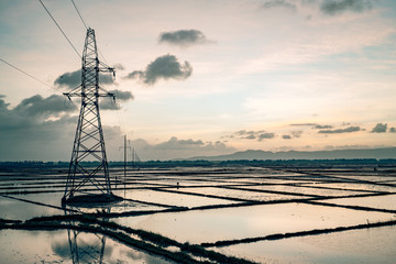 power lines along rice paddys in vietnam