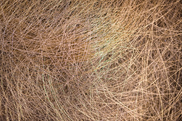 Copper wire for the power industry, background