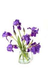 Still life with iris