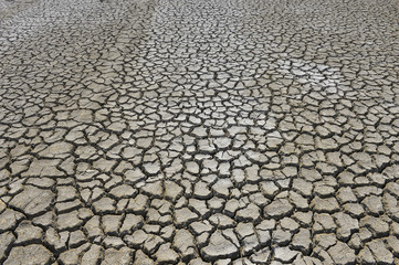 The parched soil