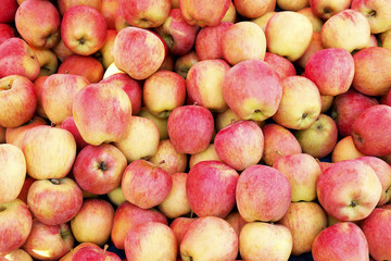 Spring sA bunch of ripe freshly picked organic cummer detox fruit vegetable diet. Close up of harvest pile. Supermarket stand of clean and shiny vegetables / fruits assortment. Healthy eating concept.