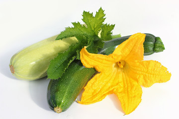 Fresh zucchini with flower and leaves
