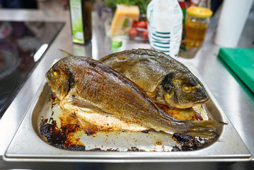 Grilled Dorado with Spicery on white plate
