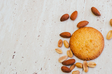 one cookie and few nuts lie on a white background