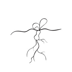 Vector sketch illustration of an object of nature. Outline hand drawing plant