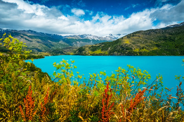 Lake with turquoise water and red flowers on the foreground. Lake named Lago Tranquilo situated in the valley of Exploradores, Chile