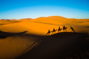 Wide angle shot of caravan traveling and camels shadows on the sand dune in Sahara desert
