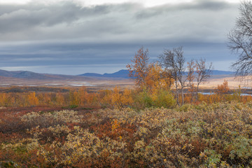 autumn in the mountains