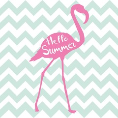 Flamingo. Vector illustration
