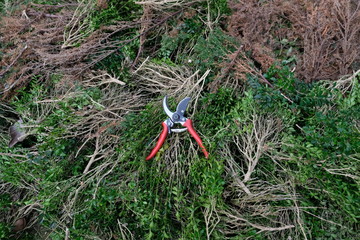 Gartenarbeit
