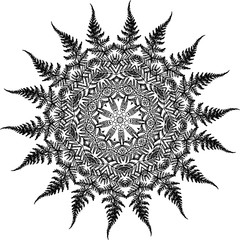 Black and white illustration of a mandala - a flower of life. Fern and leaf fractal.