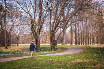 man walking at the park, senior relaxing in the nature