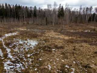 drone image. aerial view of rural area with fields and forests