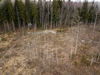 drone image. aerial view of rural area with fields and forests