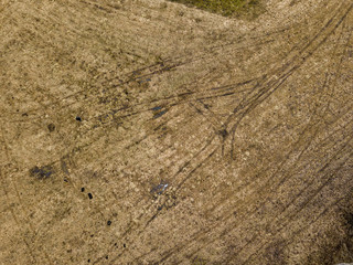drone image. aerial view of rural area with houses and road network. populated area Dubulti near Jekabpils, Latvia